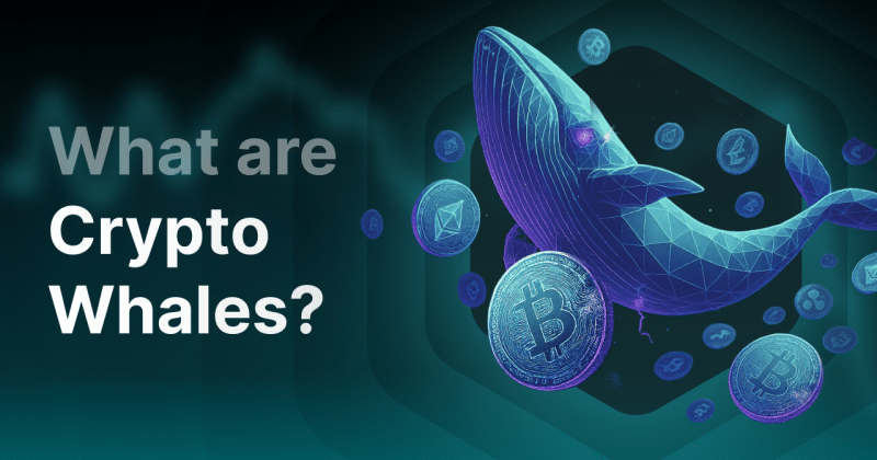 Whale Alert: Massive Surge in Lighter and Mantle Network Activity Amid Altcoin Volatility