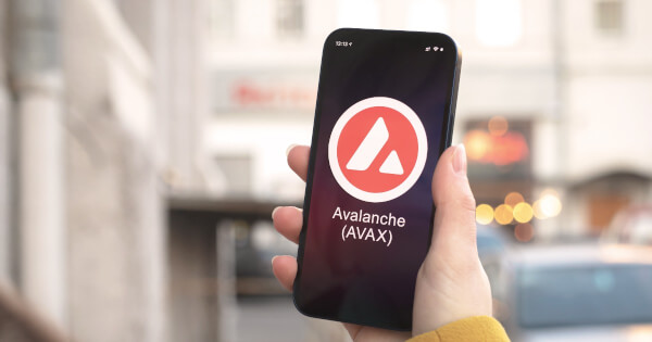 AVAX em encruzilhada: Recuperação real ou apenas um 'Dead Cat Bounce' antes da queda?