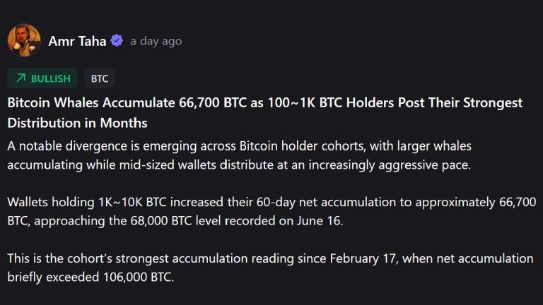 Whales vs. Mid-Tier Holders: The Massive Bitcoin Ownership Shift Splitting the Market