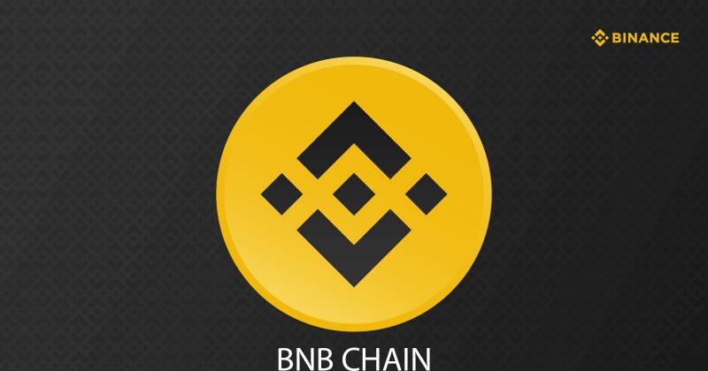 BNB Chain Repudia Token Meme Não Autorizado Criado por Ex-Funcionário