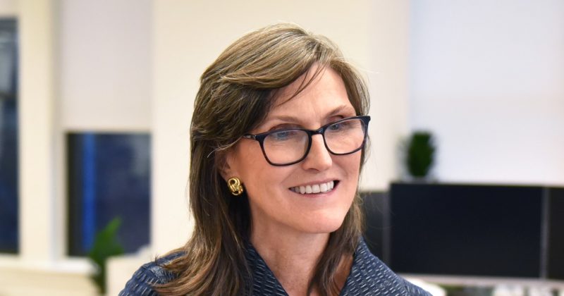 Cathie Wood: Queda de tokens de IA acelera adoção em ciclo virtuoso