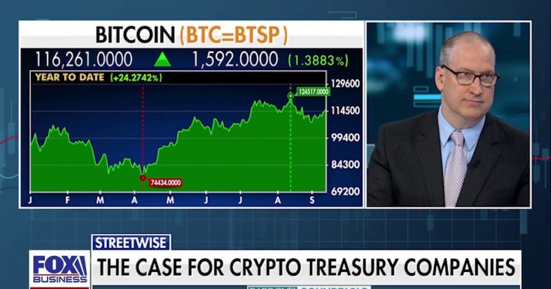 Criptoindustria em colapso: Nova onda de falências abala mercado em queda livre