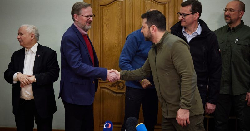 Power Struggle Unveiled: Fedorov's Ouster and the Pressure on Zelensky