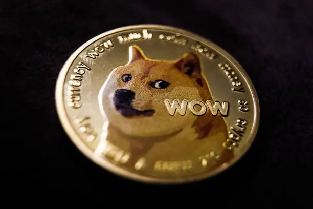 Diretor de Hollywood é condenado após torrar US$ 11 milhões de orçamento da Netflix em Dogecoin