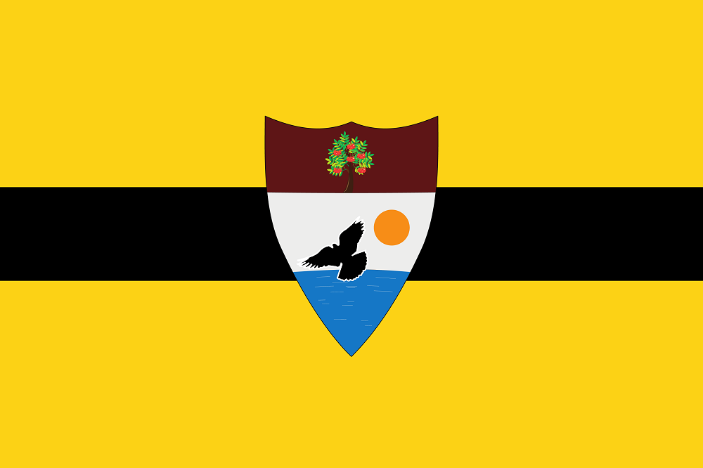 Escândalo em Liberland: Secretário de Tecnologia é demitido após tentativa de golpe digital