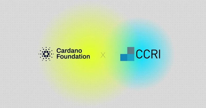 Fundação Cardano anuncia saída abrupta do CTO Giorgio Zinetti, colocando em xeque futuro do ecossistema