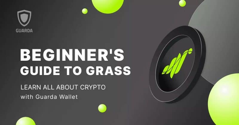Revolução no Grass: Protocolo gera US$ 33 milhões anuais com IA e votação histórica define o futuro do token