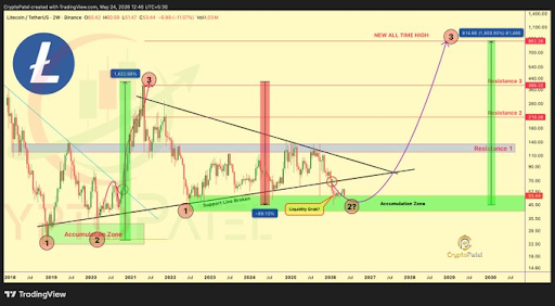 Litecoin Powers Buyback: Company Uses Crypto Sales & Options to Repurchase $5.4M in Shares
