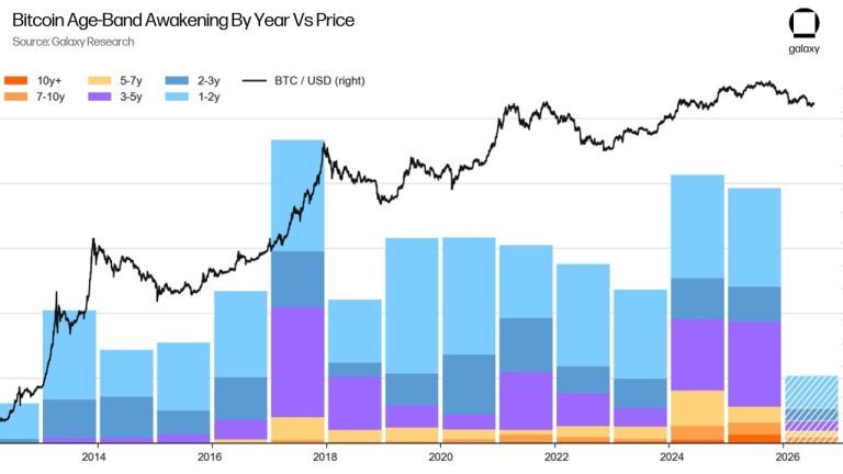 Quantum Computing Fears Are Scaring Buyers, Not Bitcoin Whales, Analyst Finds