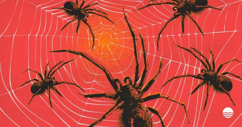 Fim da linha: Membro do grupo hacker 'Scattered Spider' é extraditado da Finlândia para os EUA
