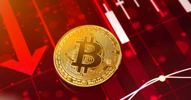 Cipher Mining Stock Plummets as Executives Plan to Sell Shares Through 2027