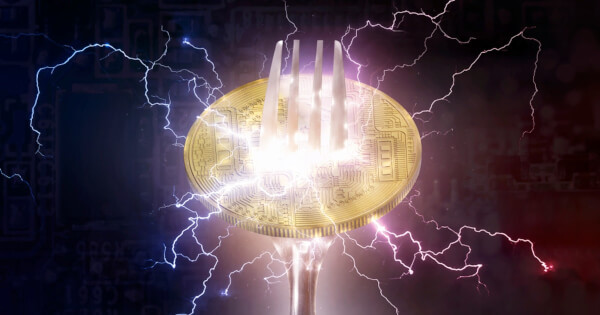 Previsão BCH: Repique de 'Gato Morto' para US$ 223 ou Queda Livre para US$ 185? O Destino do Bitcoin Cash está em Jogo