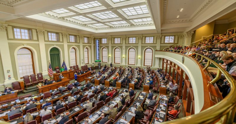 Maine Senate Shake-up: Democratic Candidates Demand ICE Abolition Following Shooting