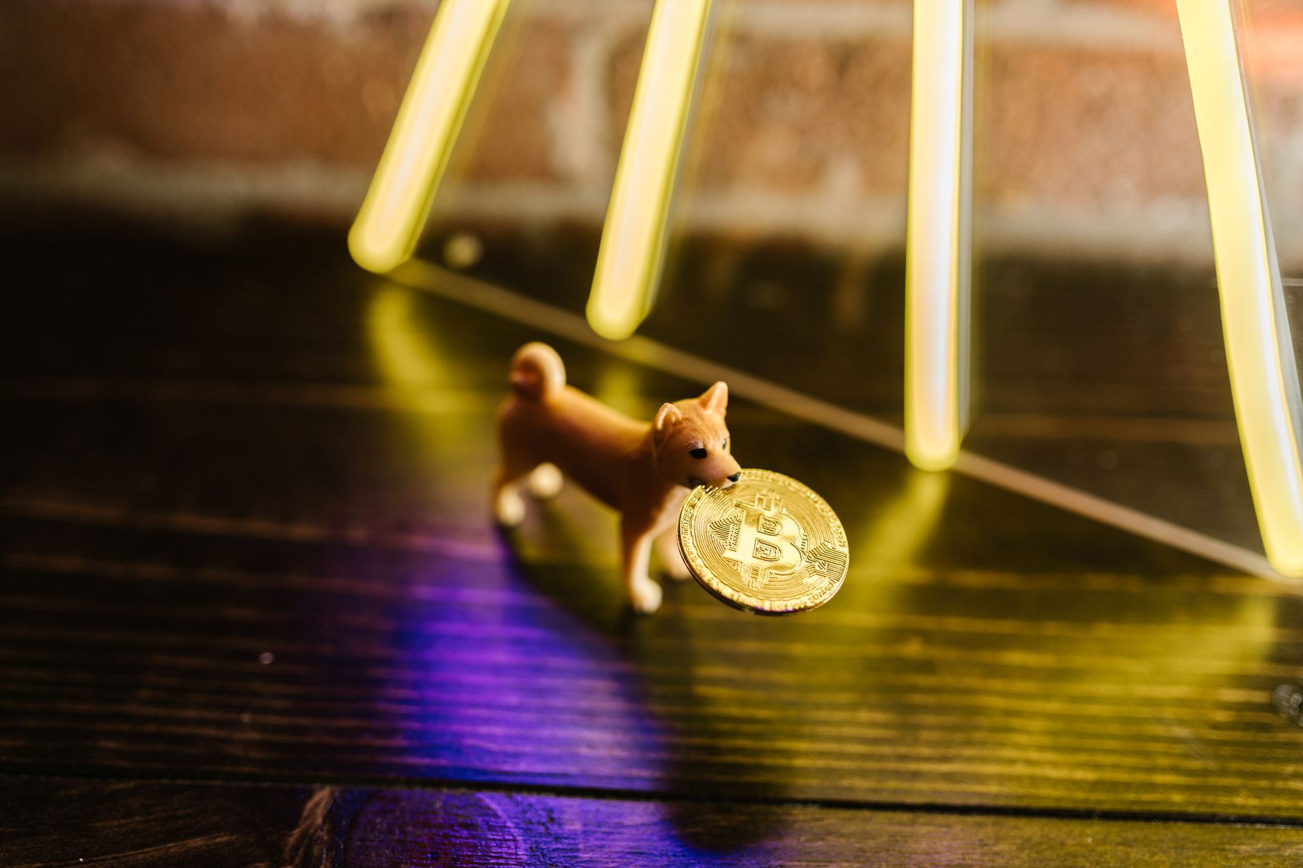 Explosão da Shiba Inu: SHIB dispara 36% em 24 horas e deixa traders de surpresa