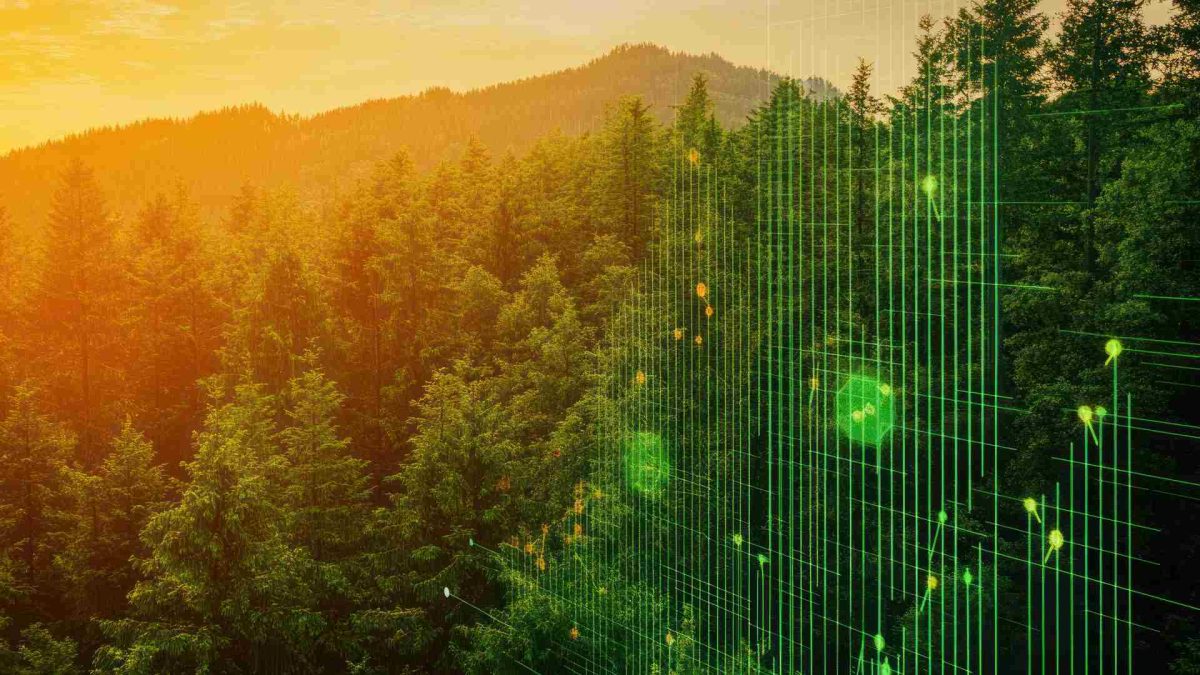 Green Tokenization: RWA Firms Push CVM to Shape New Capital Markets Regulation