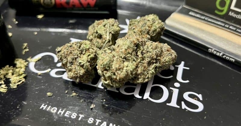 Histórico: Trulieve quebra barreiras e se torna gigante do cannabis listada na NYSE