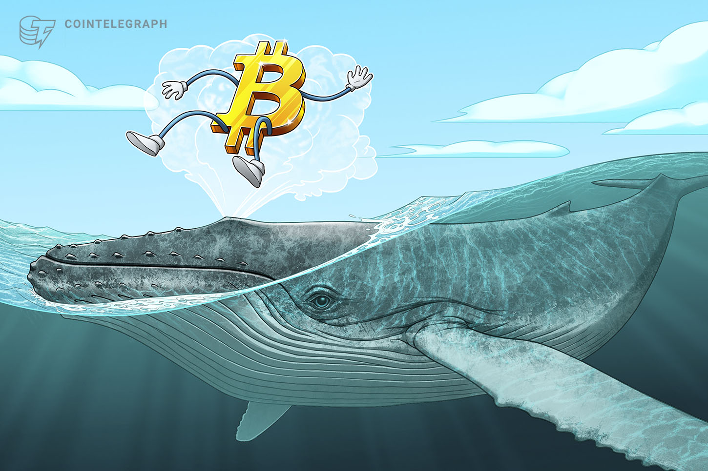 Crypto Whales Accumulating BTC and ETH as Bear Market Nears Bottom: CryptoQuant