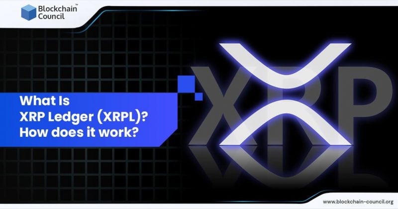 XRP Ledger Adds 490K New Accounts Amid Price Stagnation - Growth Contradicts Market Performance