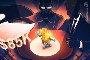 featured 1769001599 Volatilidade do Bitcoin Novas Baleias Aumentam Ris